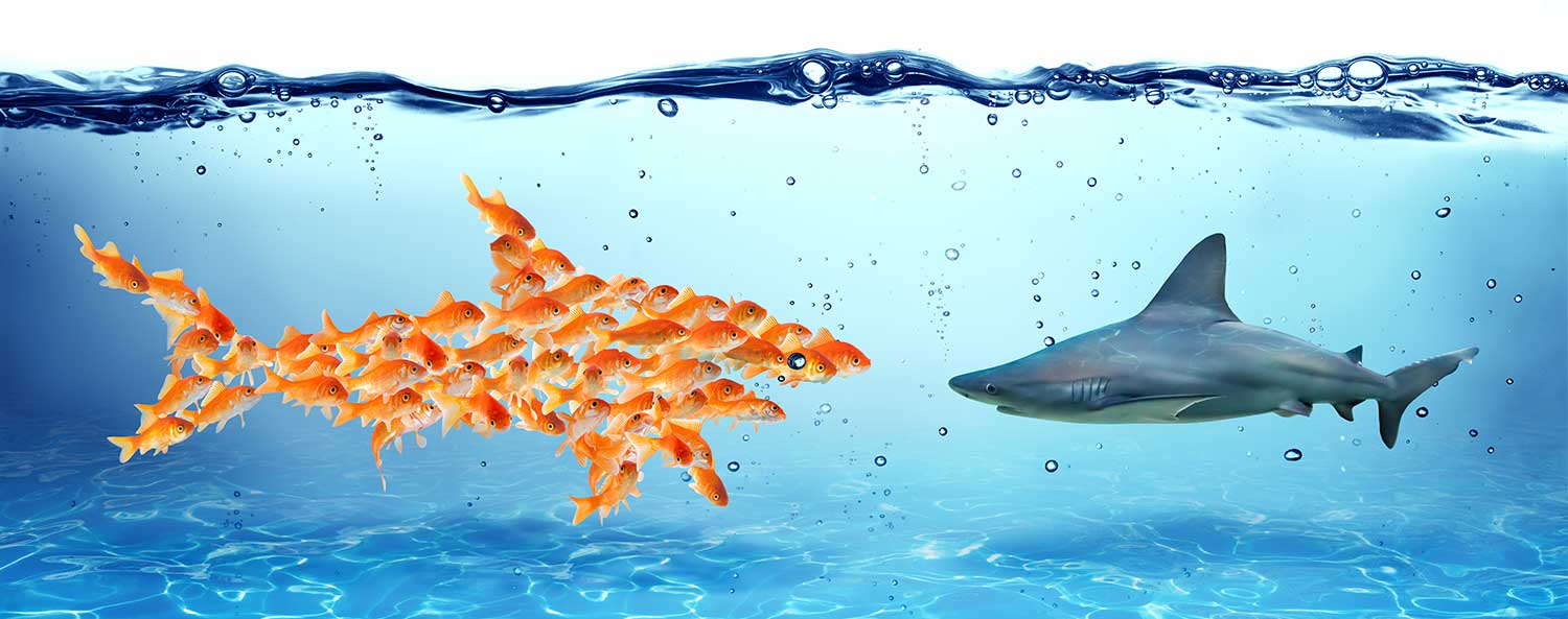 How-to-make-teamwork-work-this-solution